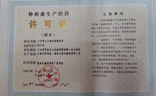 榮譽證書03 榮譽證書03